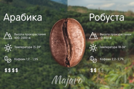 арабика и робуста схема 